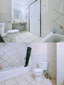 UTSC and Centennial College 3 rooms apartment for rental - Photo 9