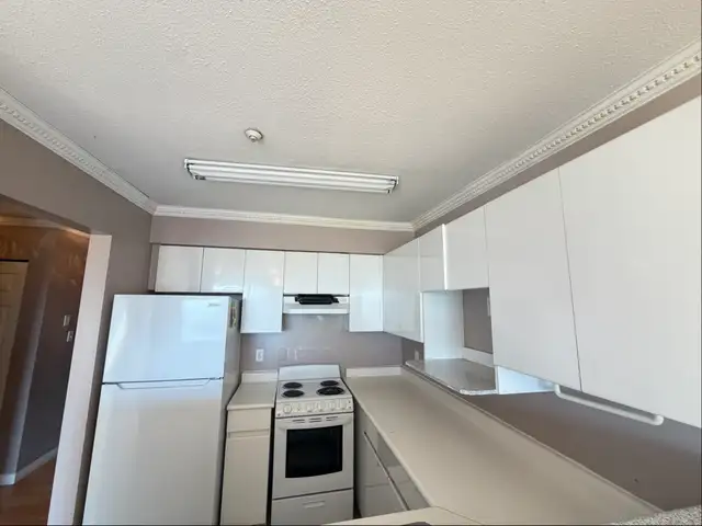 South Vancouver Well-maintained 2 bedrooms apartment for rent. - Photo 8