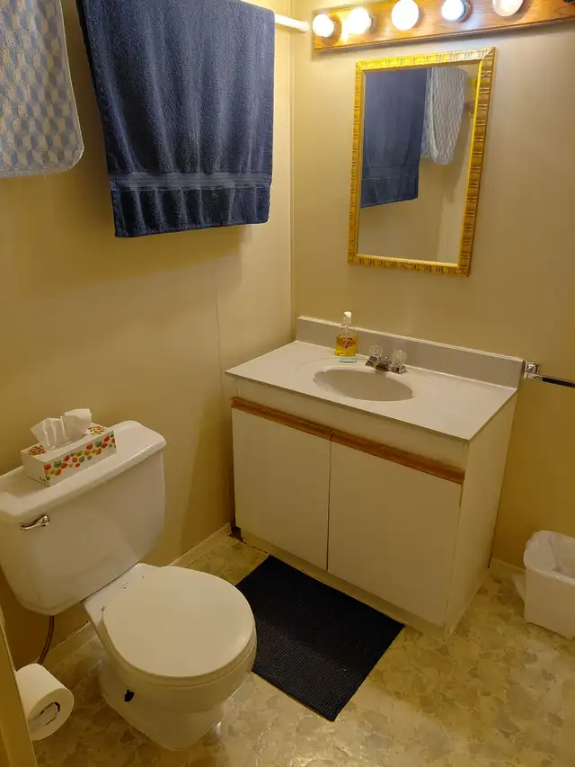 Furnished Room in Sylvan Lake Looking for Mature Roommate. - Photo 5