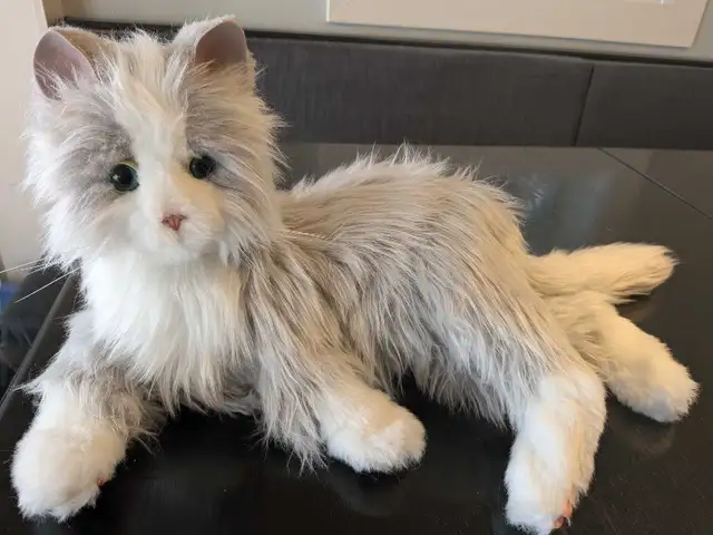 Chat robot intéractif