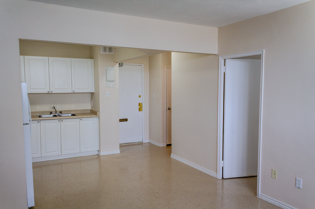 Junior 1 Bedroom Apartment - Argyle (Senior Discount Available) - Photo 2