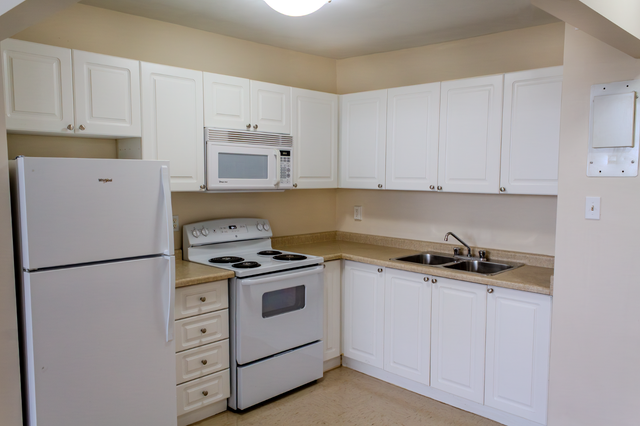 Junior 1 Bedroom Apartment - Argyle (Senior Discount Available) - Photo 3