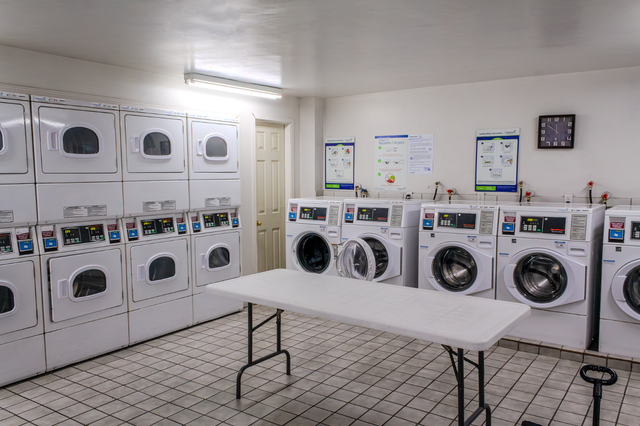 Junior 1 Bedroom Apartment - Argyle (Senior Discount Available) - Photo 7