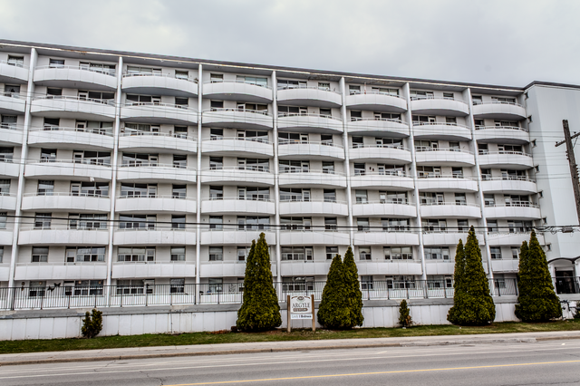 Junior 1 Bedroom Apartment - Argyle (Senior Discount Available) - Photo 8