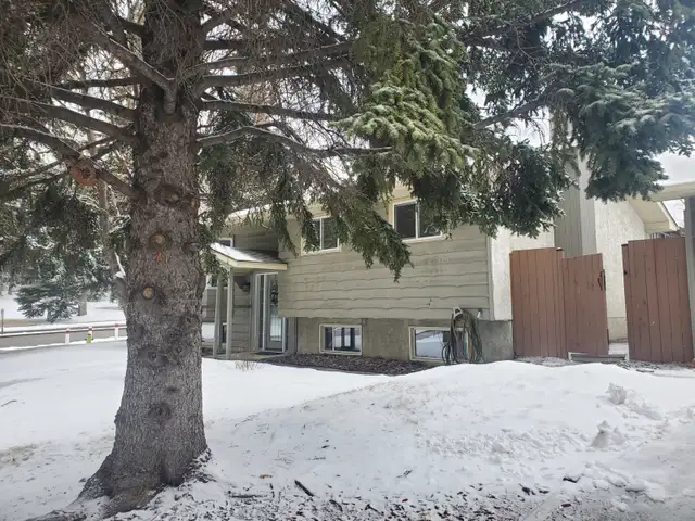 House for rent - Photo 3