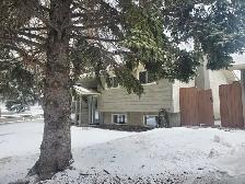 House for rent - Photo 3