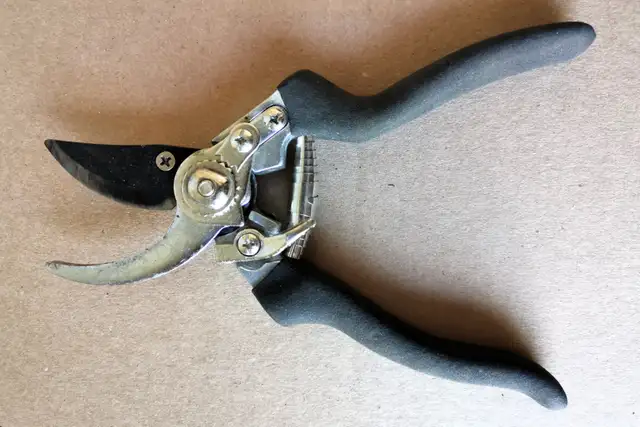 Pruning Shears - Photo 2