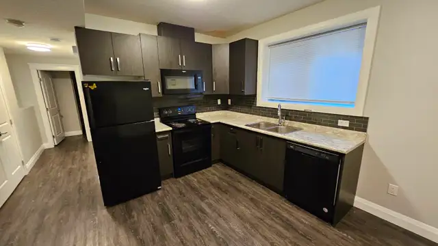 2 Bedroom Legal Basement Suite – Rosewood (Available May 1) - Photo 3