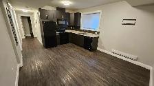2 Bedroom Legal Basement Suite – Rosewood (Available May 1) - Photo 9