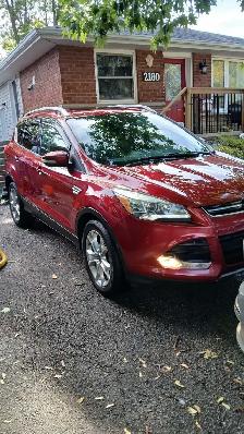 Mobile Auto Detailing - Photo 2