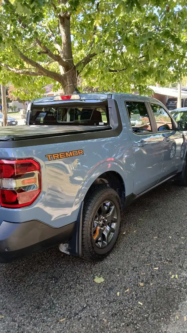 Mobile Auto Detailing - Photo 4