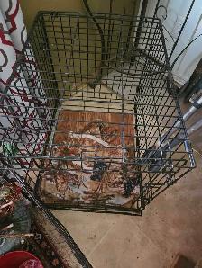 petmate dog cage - Photo 3