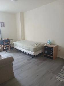 Walk to 2 Subway Downtown University Female occupied & Prefer - Photo 7