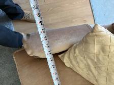 Free delivery used vintage Brown Loveseat Sofa with Tufted Back - Photo 7