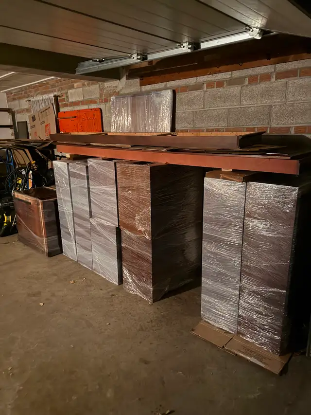 moving with sky jays