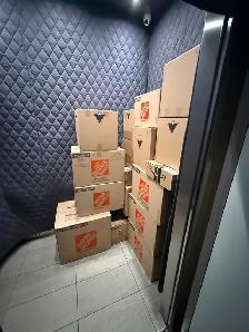 moving with sky jays - Photo 4