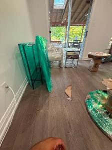 moving with sky jays - Photo 6