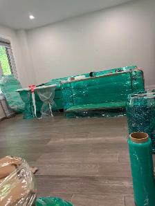 moving with sky jays - Photo 8