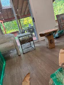 moving with sky jays - Photo 9