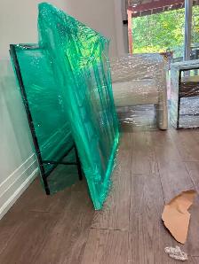 moving with sky jays - Photo 10