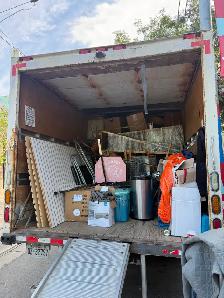 moving with sky jays - Photo 13