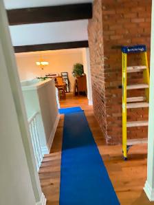 moving with sky jays - Photo 18