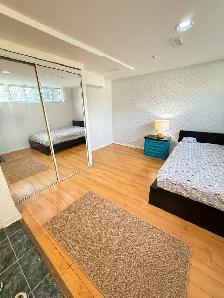 Basement Apartment for Rent close to Victoria Park & Hwy 401 - Photo 3