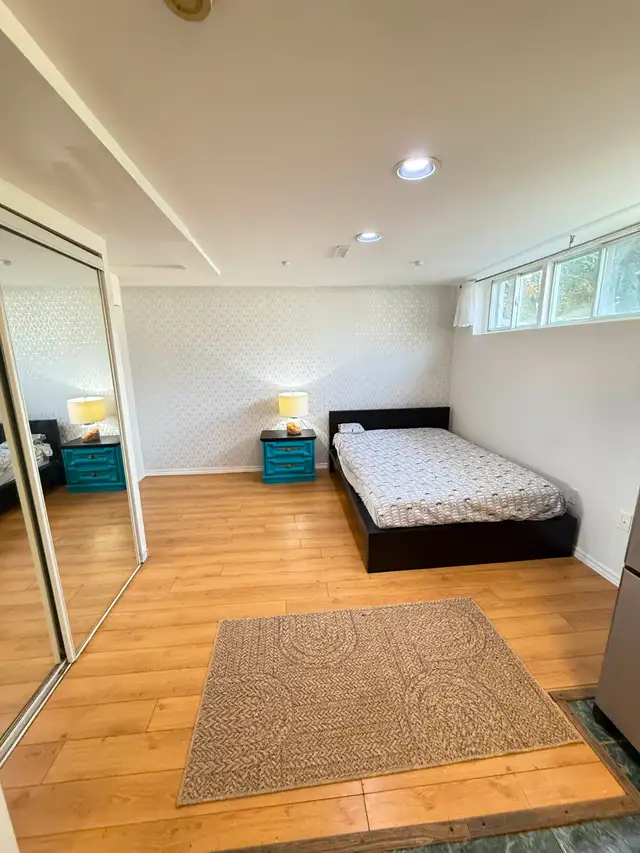 Basement Apartment for Rent close to Victoria Park & Hwy 401 - Photo 4