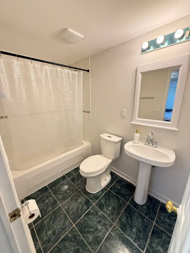 Basement Apartment for Rent close to Victoria Park & Hwy 401 - Photo 5