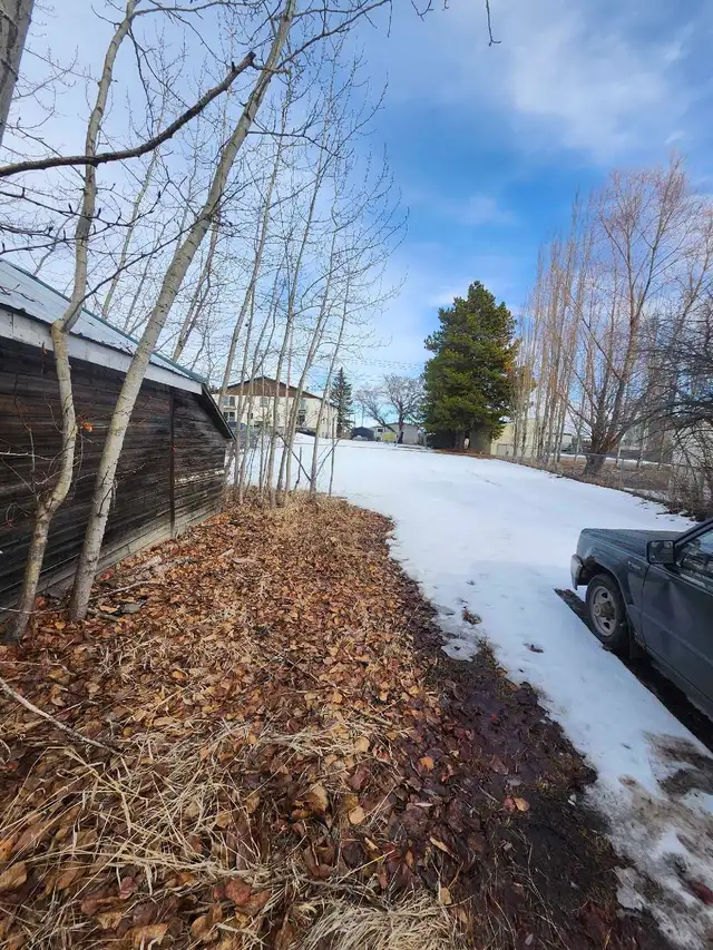 house for rent in thorsby - Photo 7