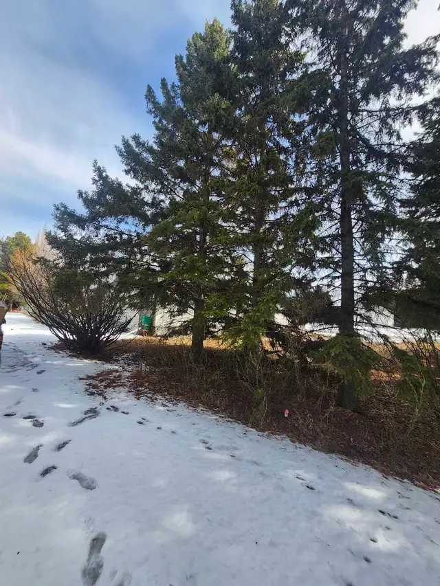 house for rent in thorsby - Photo 10