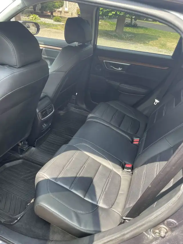 Car detailing all over the GTA - Photo 3