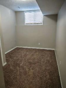 ONE Bdrm in Great Location by Allendale community Close to U A - Photo 5
