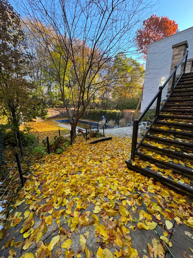 Spring Cleanup Services