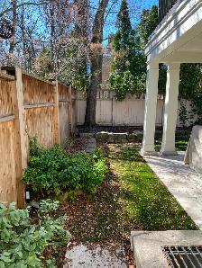 Spring Cleanup Services - Photo 4