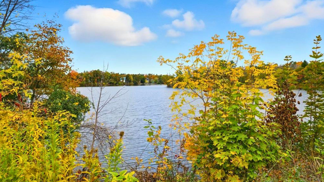 STUDENTS ⚠️ LOCK THIS IN NOW! 3 Bdrm Steps To EVERYTHING - Photo 7