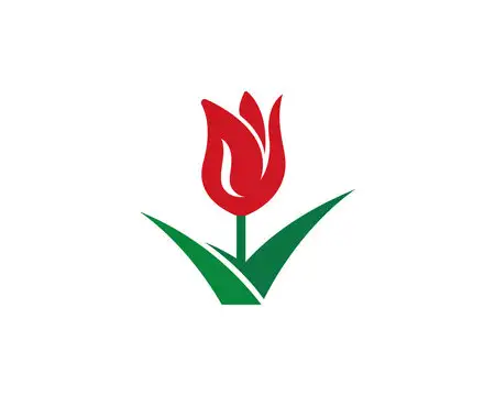 TULIP CLEANING & CARPET CLEANING