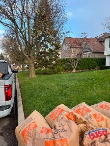 Yard Cleanup Services - Photo 3