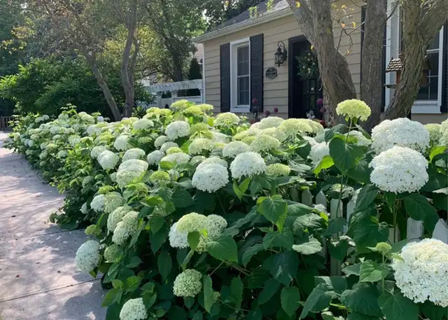 A little slice of cottage country…right in the heart of Markham - Photo 10