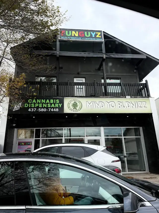 Dispensary - FunGuyz - Photo 2