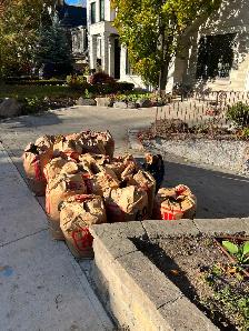 Spring Lawn Cleanup - Photo 4