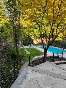 Spring Lawn Cleanup - Photo 5