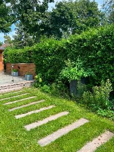 Spring Lawn Cleanup - Photo 10