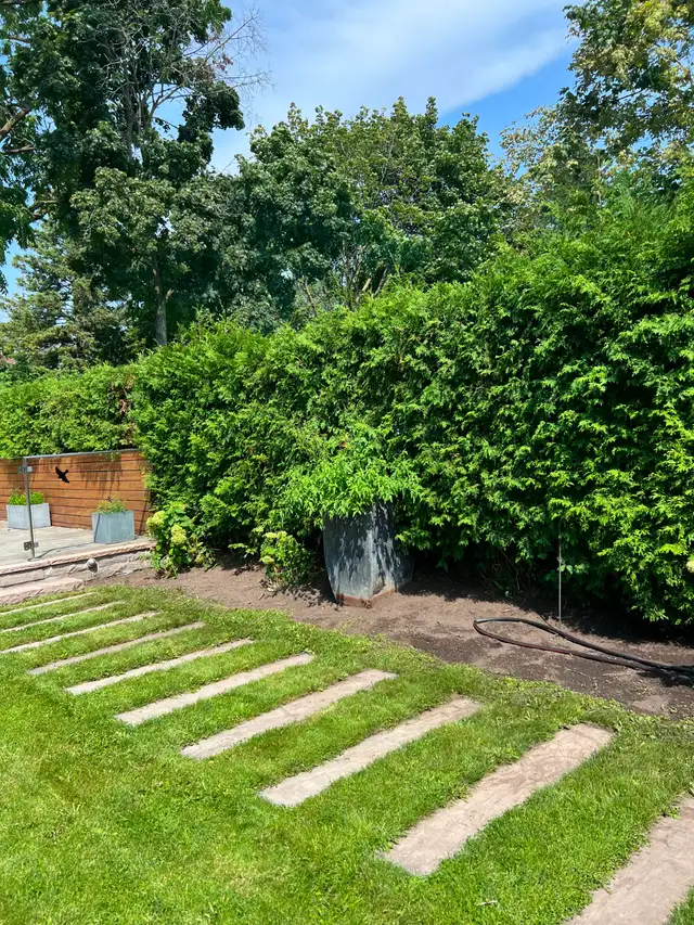 Spring Clean Up Services