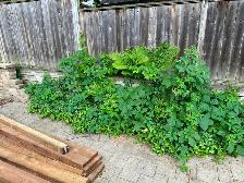 Spring Clean Up Services - Photo 4