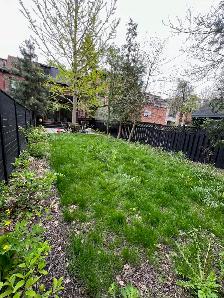 Spring Clean Up Services - Photo 6