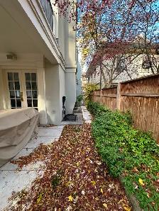 Spring Clean Up Services - Photo 9