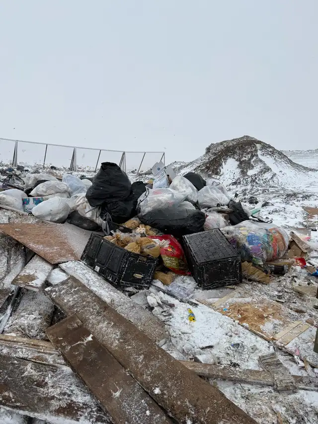 SNOWY DAY DISCOUNTED DUMP RUNS