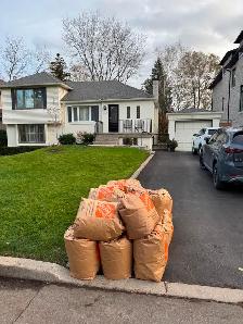 Spring Cleanup - Photo 4