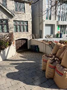 Spring Lawn Cleanup - Photo 4